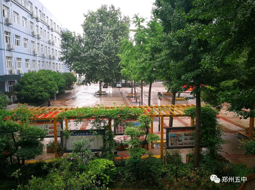 未标题-1 未标题-1