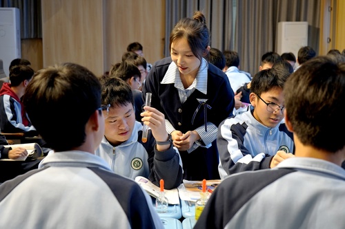 马颖莹指导实验 马颖莹指导实验